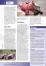 Eurosport_Motormagazin_September-6__08.jpg